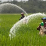 How to Select an Estate Adviser to do the Job